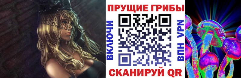 купить наркотики цена  Киселёвск  Галлюциногенные грибы GOLDEN TEACHER 